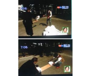 ２１ ,発泡スチロールのブロックの細長い板と、同じものでセブンブリッジのアーチにした場合の比較実験２