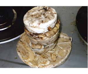 ７、発泡スチロールを廃油で溶かして固形燃料を作りました２