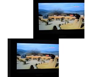 怒るボスザルに発泡スチロールの岩５