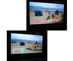 怒るボスザルに発泡スチロールの岩９