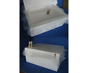 海洋生物の生態を調べる為の保温箱２