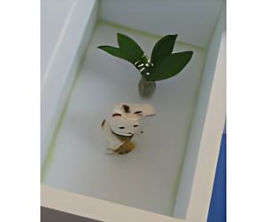 箱難燃材使用箱２