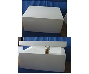 オーダーメイド箱　フタつき　くりぬき２