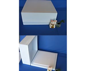 生ケーキ搬送容器 本体部平板 ふた被せタイプ2