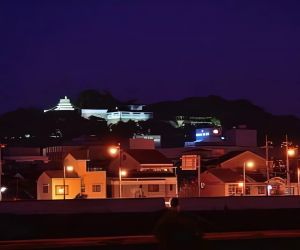 津山城天守復元4 夜景