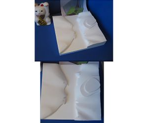 地図から海岸線をつくる2