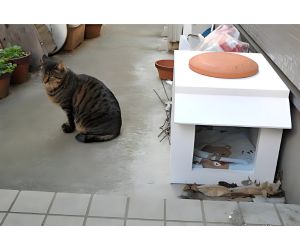 猫小屋 使用例3