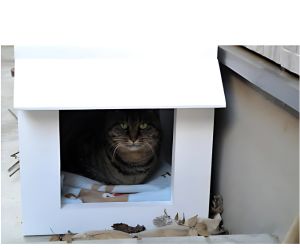 猫小屋 使用例4