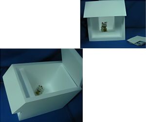 風除け付き 猫小屋2