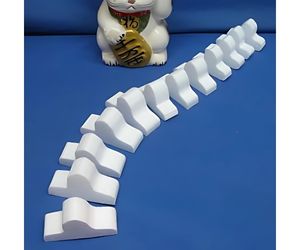 体操服に貼って背骨体操を視覚化します2