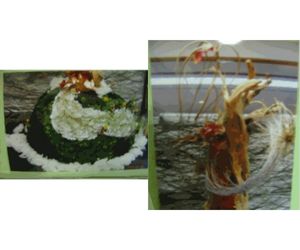 「現代生け花」