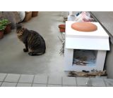 猫小屋 使用例