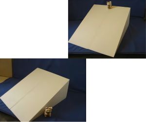 病気の愛犬養生介護用発泡スチロールスローブ6