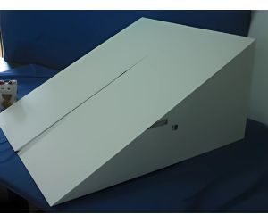 病気の愛犬養生介護用発泡スチロールスローブ