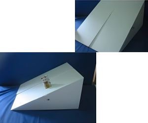 病気の愛犬養生介護用発泡スチロールスローブ2