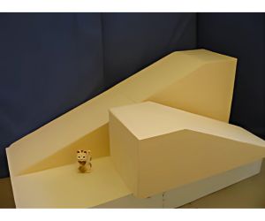 病気の愛犬養生介護用発泡スチロールスローブ3