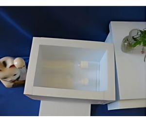 アメリカザリガニの飼育容器