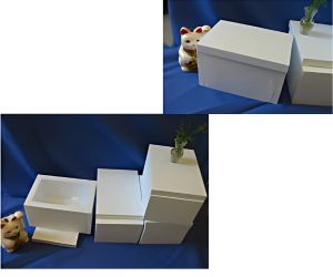 アメリカザリガニの飼育容器2