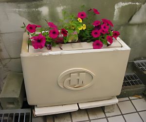 水耕栽培用容器 使用例