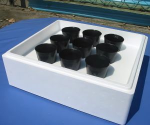 水耕栽培用既成水槽容器例