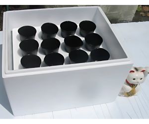 水耕栽培用既成水槽容器例3