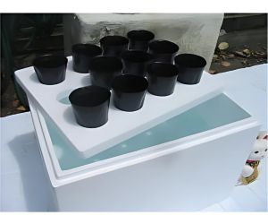 水耕栽培用既成水槽容器例4