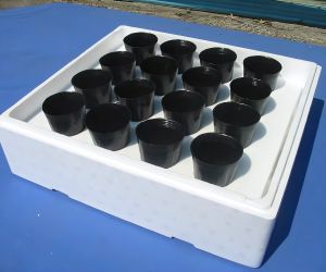 水耕栽培用既成水槽容器例5