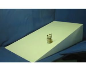 体操クラブ 器械体操用三角柱