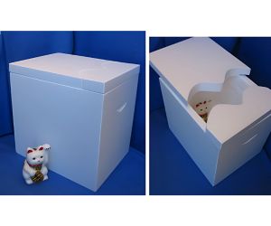 【山本式 足湯容器】