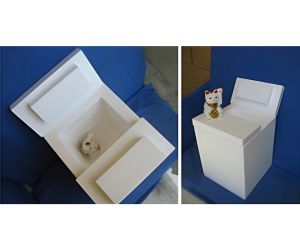 足湯容器 女性用2