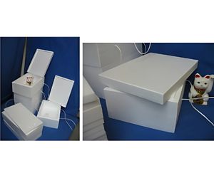 輸血用血液搬送用特注ケース2