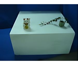 機能回復用軽量台