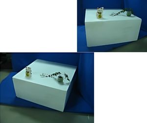 機能回復用軽量台2