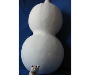 特殊楕円体　ひょうたん型