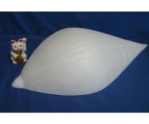 特殊楕円体　ゾウリムシ型