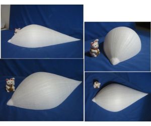 特殊楕円体　ゾウリムシ型2