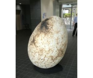 1600mmの巨大たまごを使用した作品2