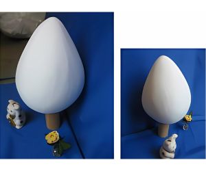 トップ 尖角型たまご2