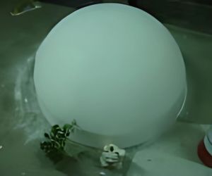 1m半球仕上げ磨きの過程8