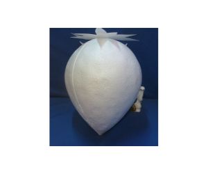 全長４００ｍｍいちご　溝なし２