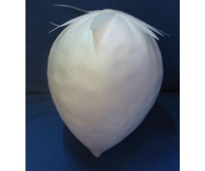 全長６００ｍｍいちご　溝なし