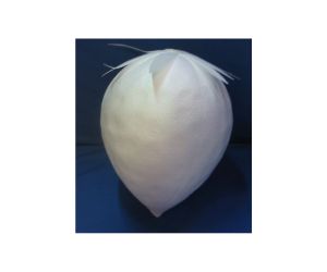 全長３５０ｍｍいちご　溝なし２