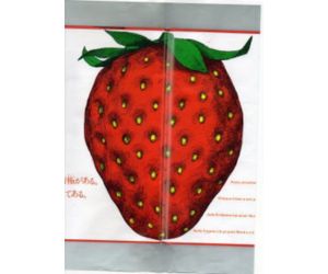 いちご型　お客様使用例２