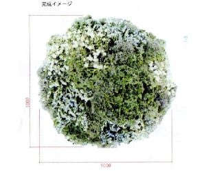 大きなトピアリー