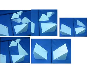 ペンタドロン11