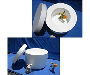 液体窒素容器 花つき2