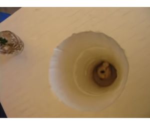 四角い液体窒素用容器 円形にくり抜いたもの2