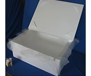 海洋生物生態調査用保温容器