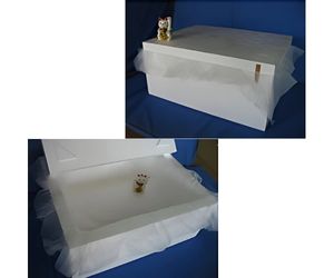 海洋生物生態調査用保温容器2