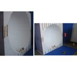 半球ドーム型簡易映像提示システム凹面